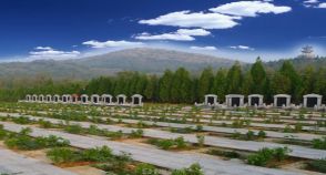 陵园风景图-5