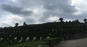 陵园风景图-2